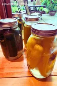 Sichuan Pao Cai {fermented vegetables} recipe
