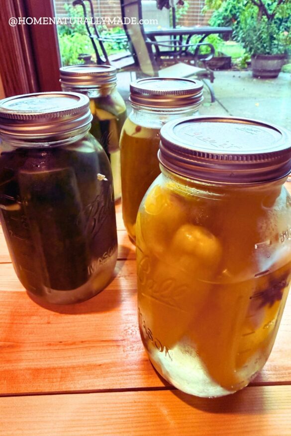 Sichuan Pao Cai {fermented vegetables} recipe